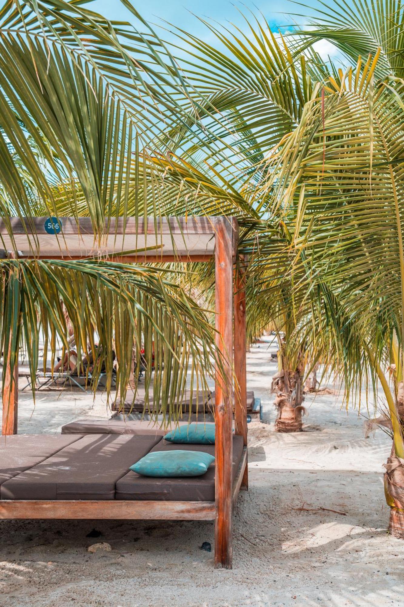 Chogogo Dive & Beach Resort Bonaire Kralendijk  Luaran gambar