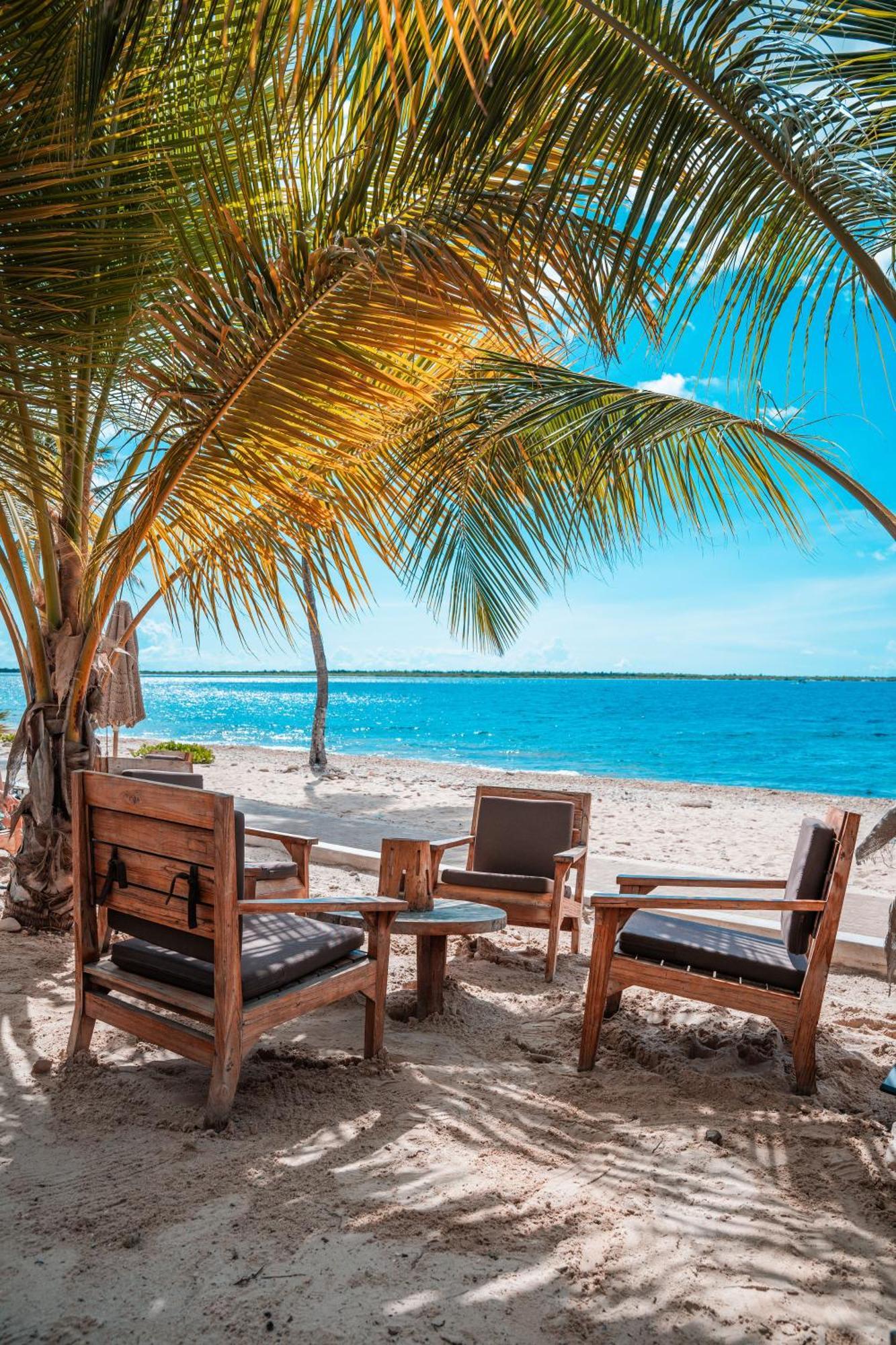 Chogogo Dive & Beach Resort Bonaire Kralendijk  Luaran gambar